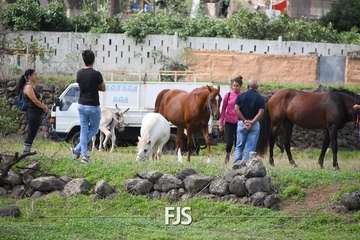 El Valle de los Nueve Alto celebra el día grande de sus fiestas patronales/Francisco Javier Santana.